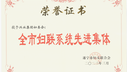 喜報！興業(yè)集團(tuán)婦委會榮獲“全市婦聯(lián)系統(tǒng)先進(jìn)集體”榮譽(yù)稱號